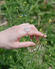 A delicate glass artwork inspired by flowers opening toward the sun, featuring finely shaped translucent petals that reflect light with soft brilliance. A handmade glass ring, carefully shaped by artisans, showcasing clear and luminous glasswork.